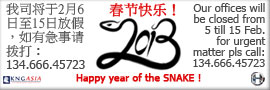 Chinese year of the snake business